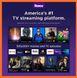 Медиаплеер  приставка для телевизора Smart TV Roku Express HD 09003 фото 4